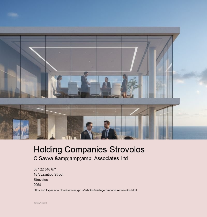 Holding Companies Strovolos