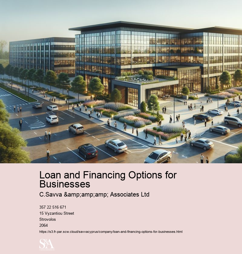 Loan and Financing Options for Businesses