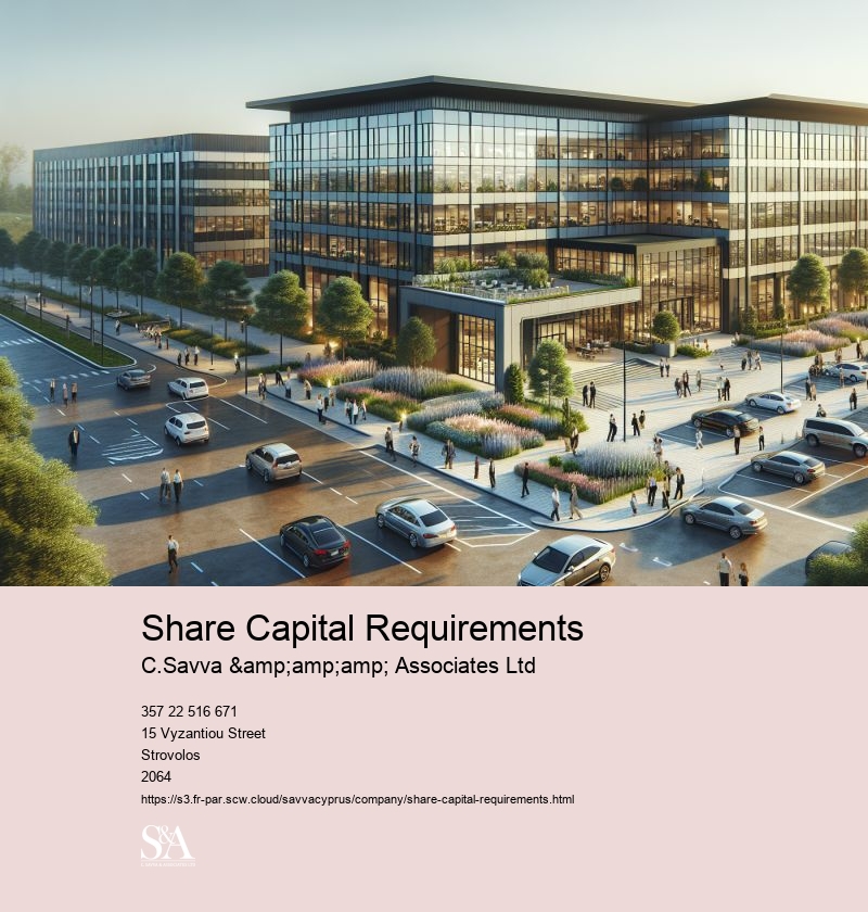 Share Capital Requirements
