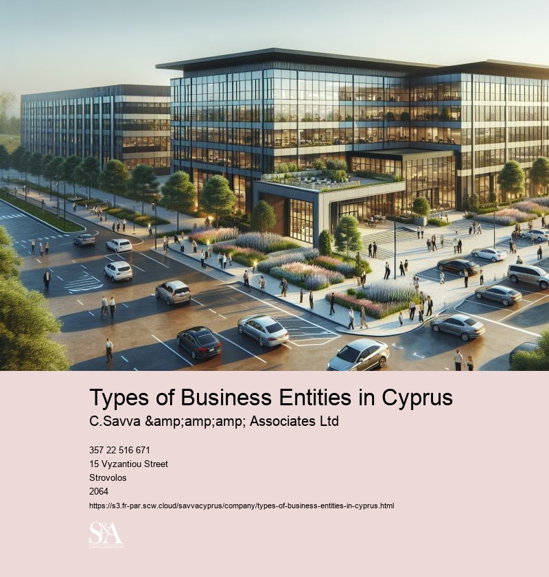 Types of Business Entities in Cyprus
