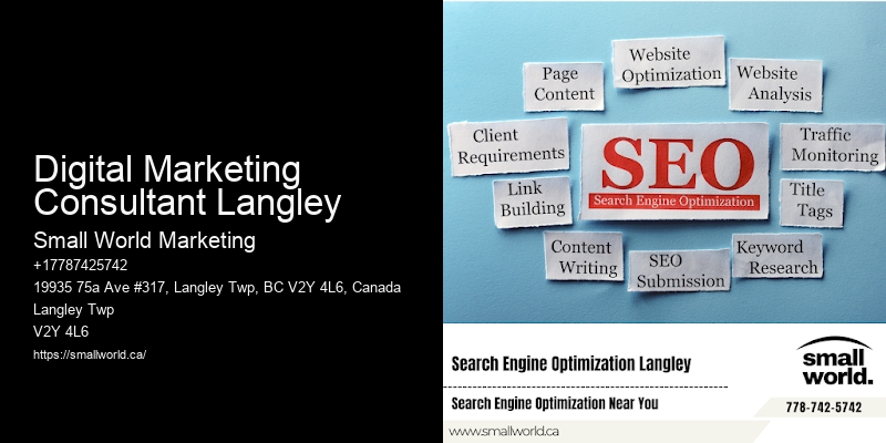 Digital Marketing Consultant Langley