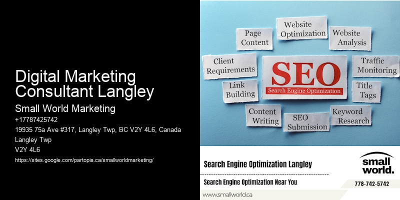 Digital Marketing Consultant Langley