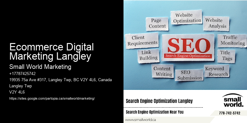 Ecommerce Digital Marketing Langley