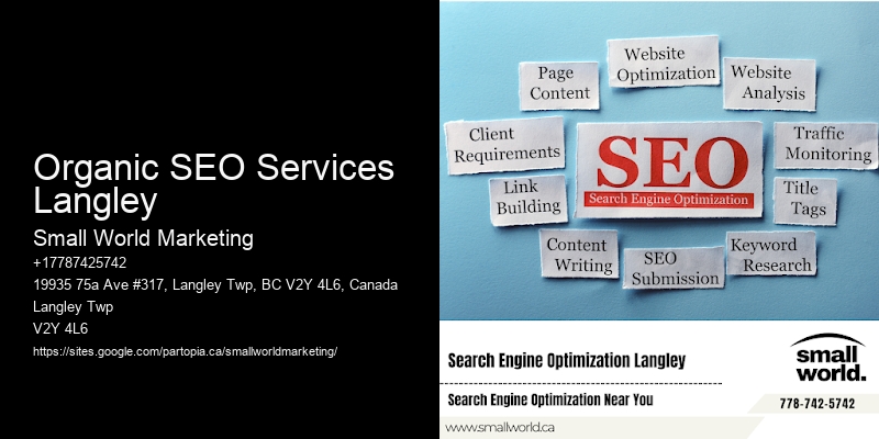 Organic SEO Services Langley