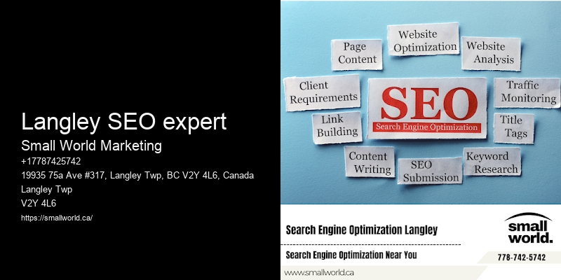 Langley SEO expert