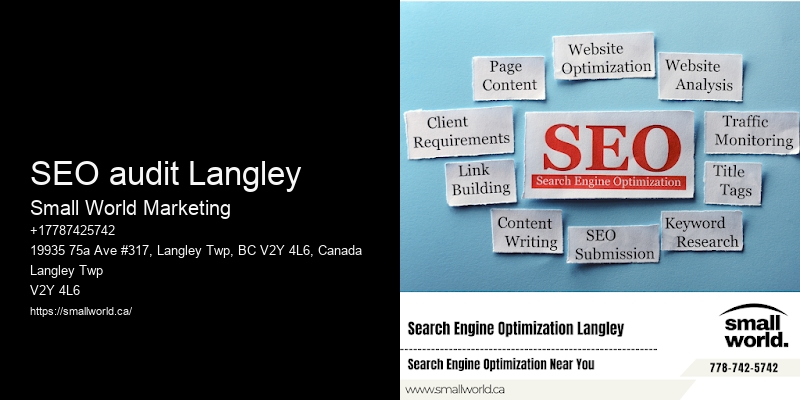 SEO audit Langley