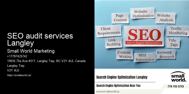 SEO audit services Langley