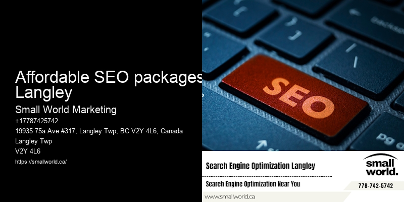 Affordable SEO packages Langley