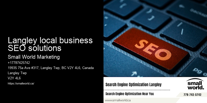 Langley local business SEO solutions