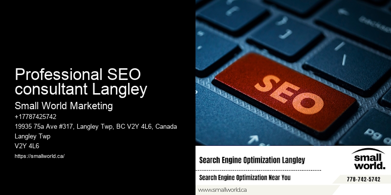 Professional SEO consultant Langley