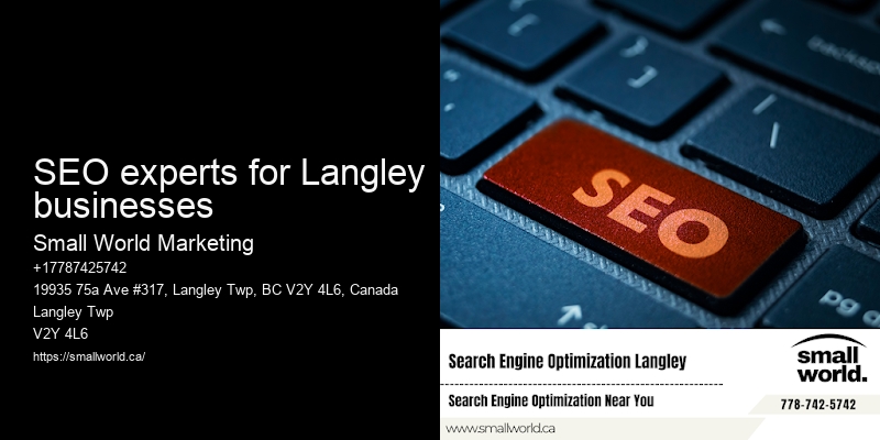 SEO experts for Langley businesses