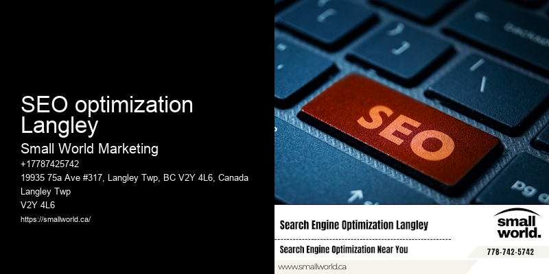 SEO optimization Langley