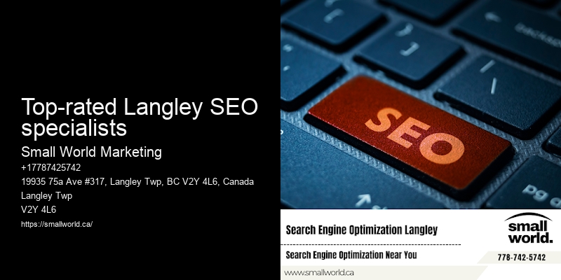 Top-rated Langley SEO specialists