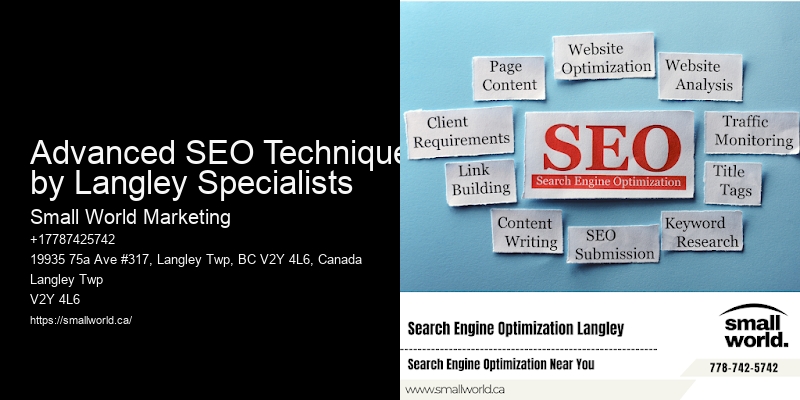 Advanced SEO Techniques by Langley Specialists