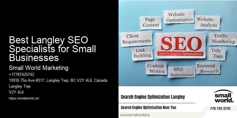 Best Langley SEO Specialists for Small Businesses