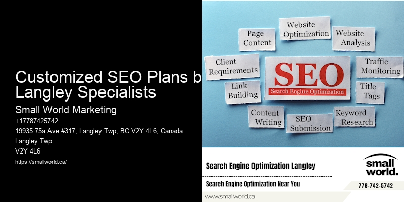 Customized SEO Plans by Langley Specialists