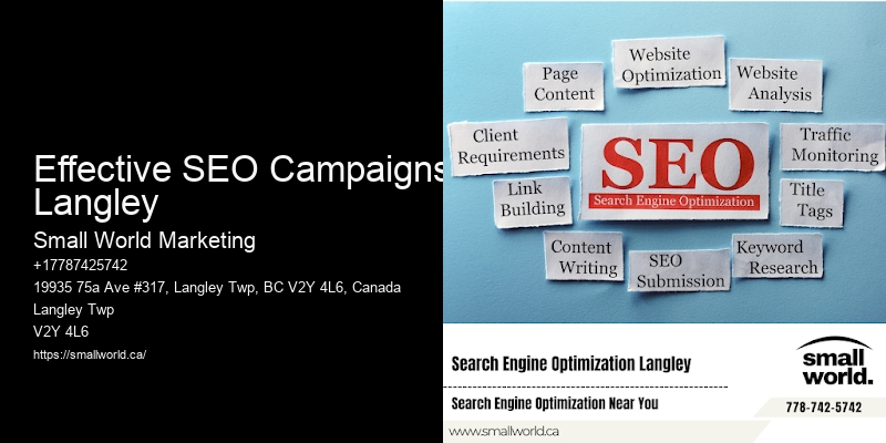 Effective SEO Campaigns Langley