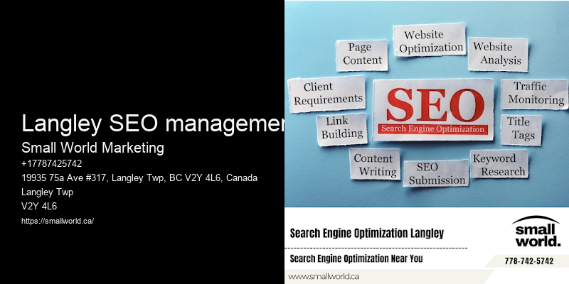 Langley SEO management