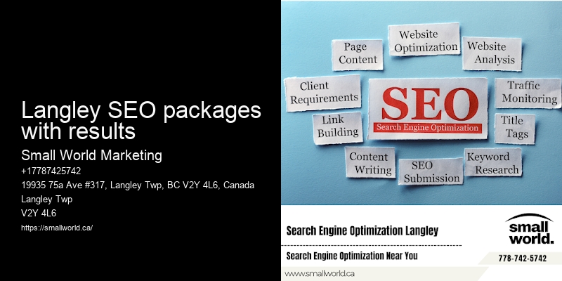 Langley SEO packages with results