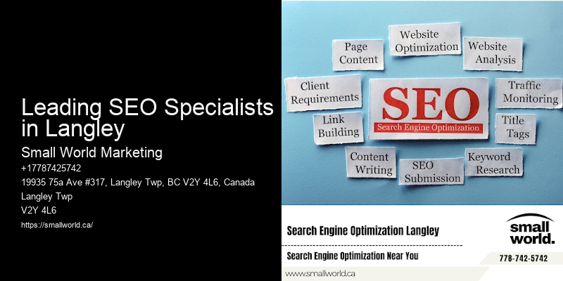 Leading SEO Specialists in Langley