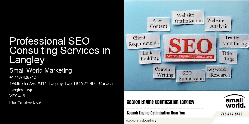 Professional SEO Consulting Services in Langley