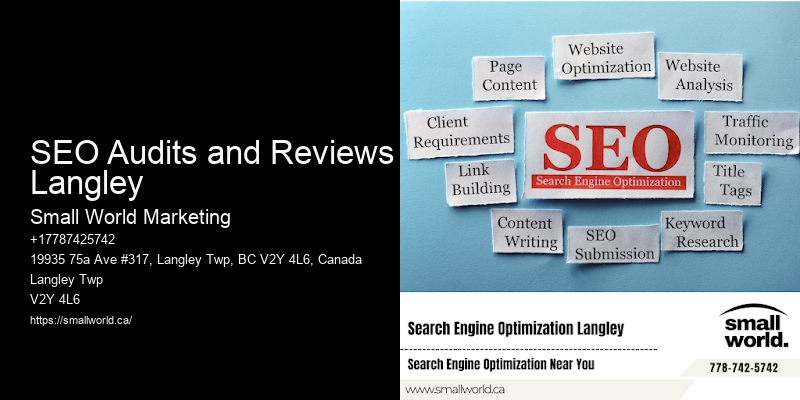 SEO Audits and Reviews Langley