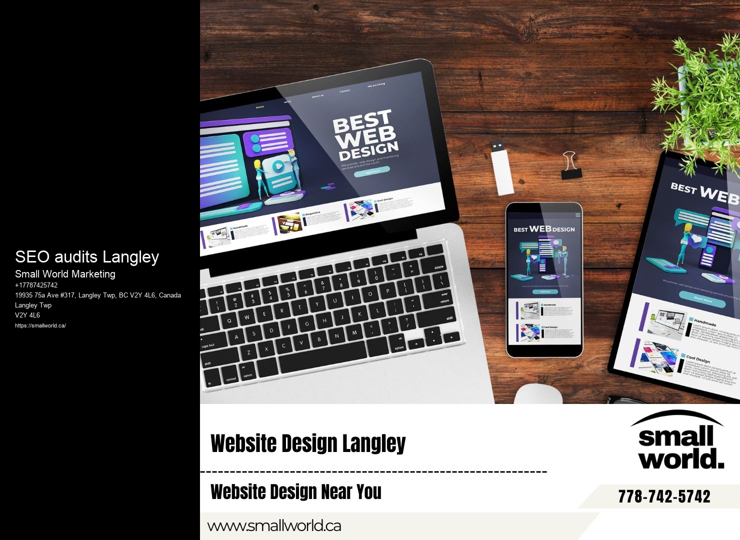 Expert SEO Services SEO audits Langley