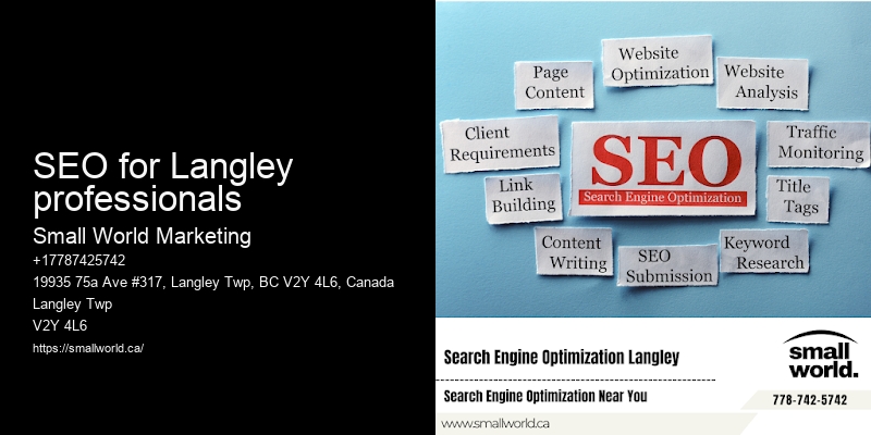 SEO for Langley professionals