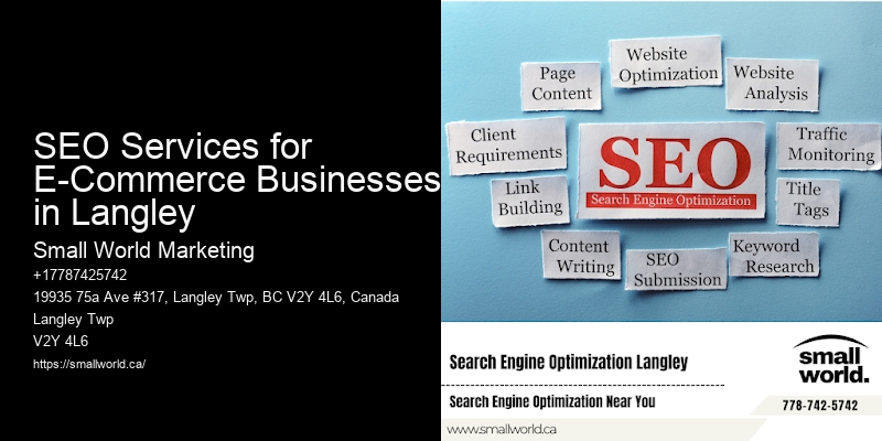 SEO Services for E-Commerce Businesses in Langley