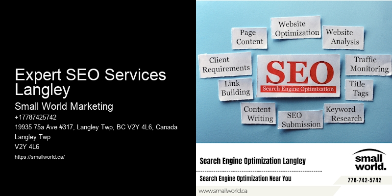 Expert SEO Services Langley