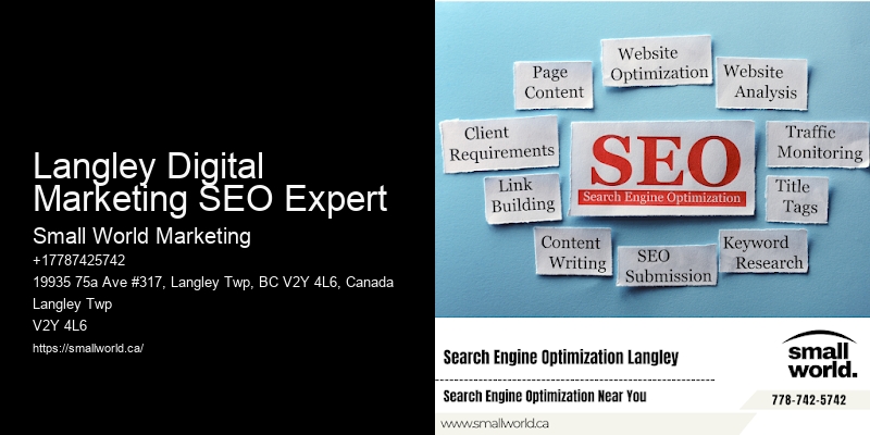 Langley Digital Marketing SEO Expert