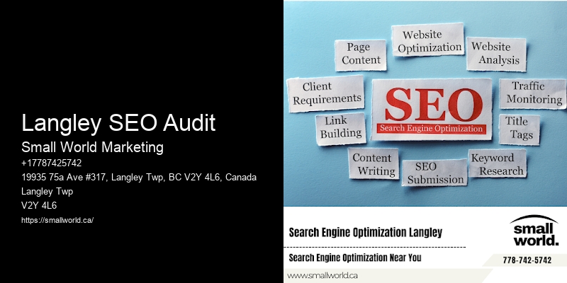 Langley SEO Audit