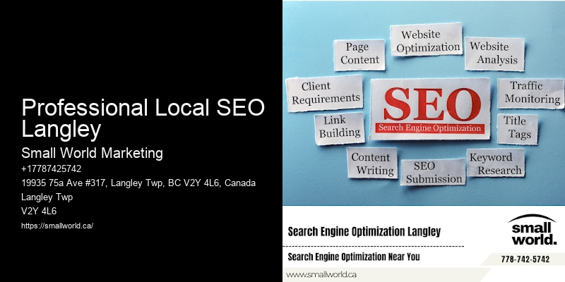 Professional Local SEO Langley