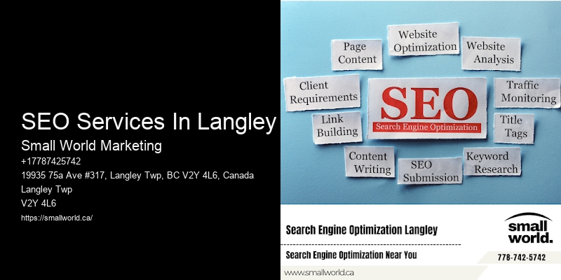 SEO Services In Langley