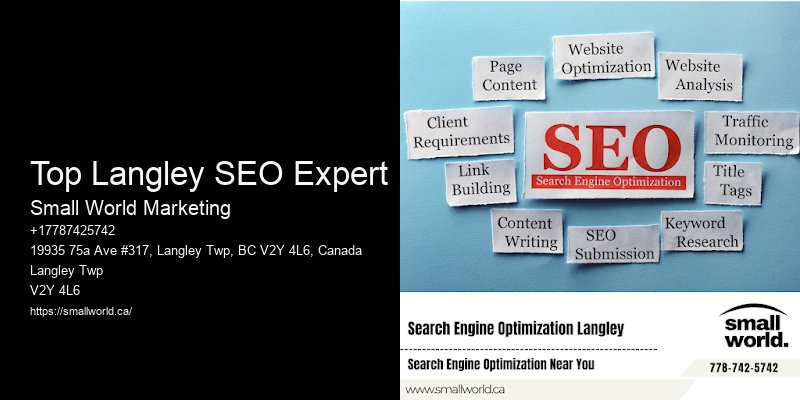 Top Langley SEO Expert