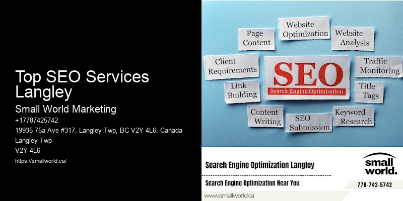 Top SEO Services Langley