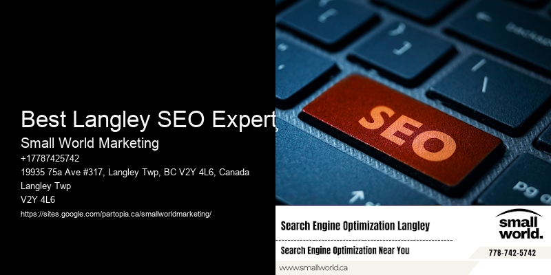 Best Langley SEO Expert
