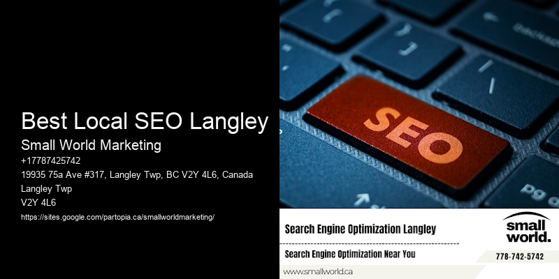 Best Local SEO Langley