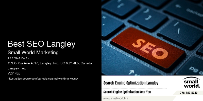 Best SEO Langley