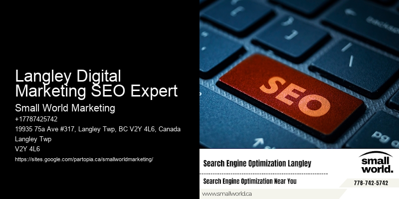Langley Digital Marketing SEO Expert