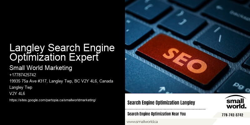 Langley Search Engine Optimization Expert