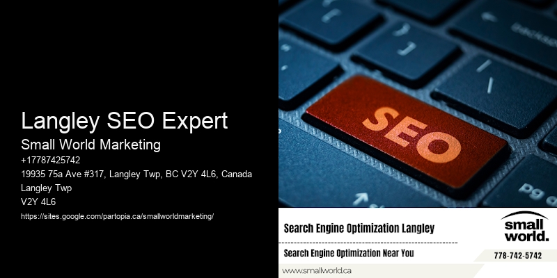 Langley SEO Expert