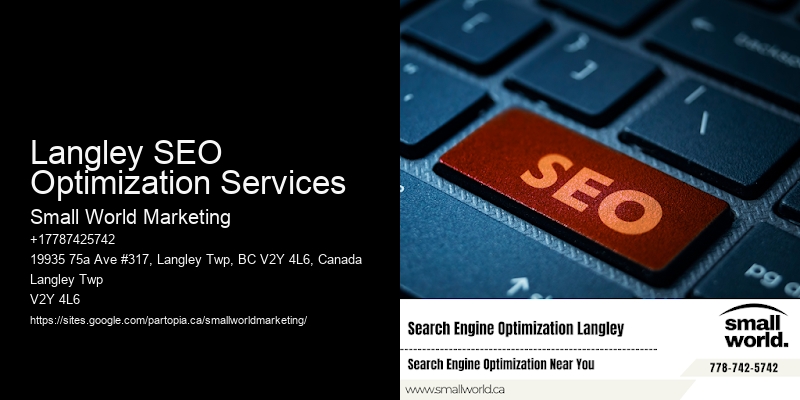 Langley SEO Optimization Services