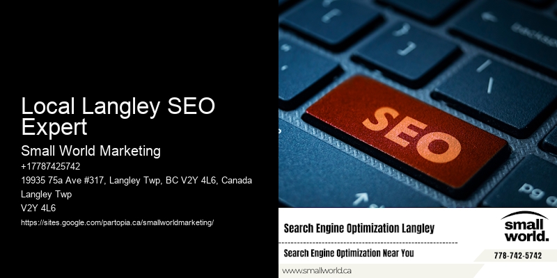 Local Langley SEO Expert