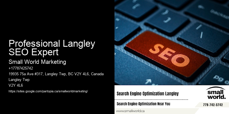 Professional Langley SEO Expert