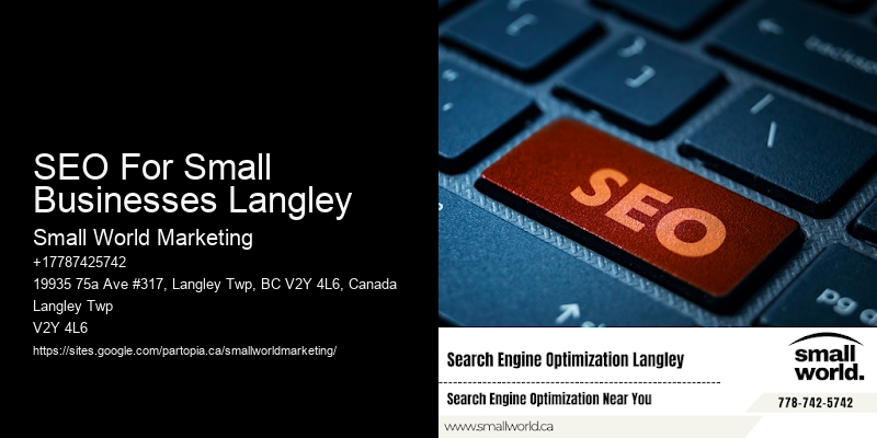 SEO For Small Businesses Langley