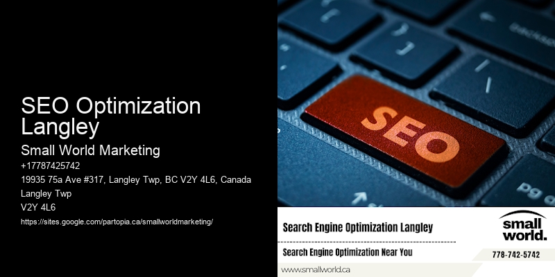 SEO Optimization Langley