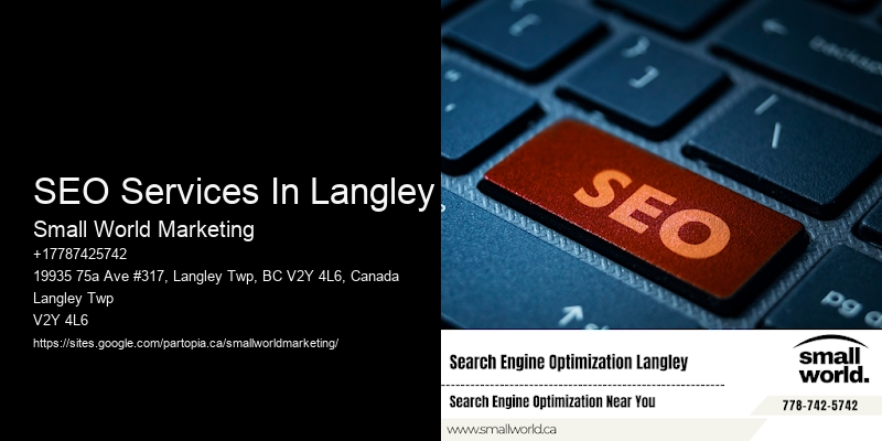 SEO Services In Langley
