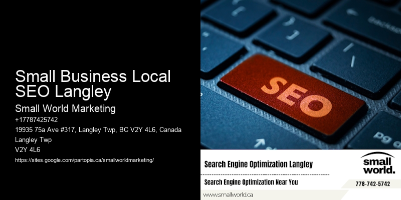 Small Business Local SEO Langley