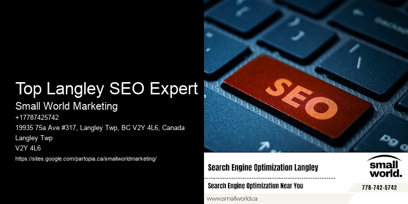 Top Langley SEO Expert